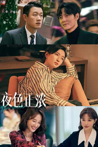 夜色正浓封面图