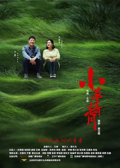 小草青青封面图