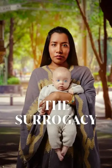 Madre de alquiler封面图