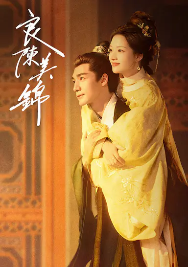 良陈美锦封面图