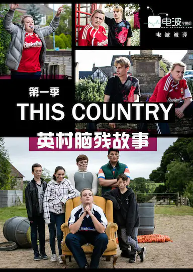 英村脑残故事 第一季封面图