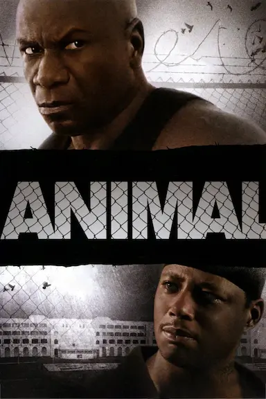 Animal封面图
