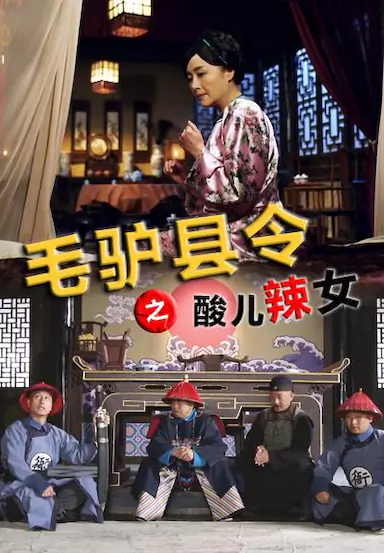 毛驴县令之酸儿辣女封面图
