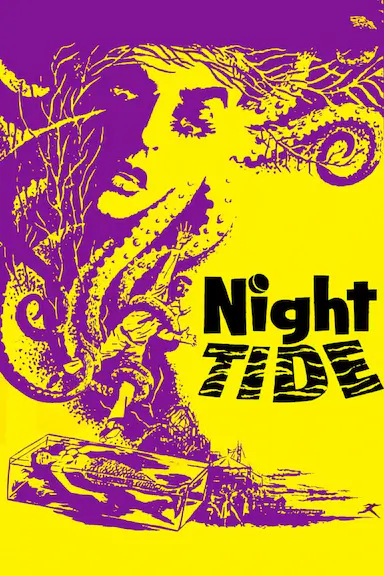 夜潮封面图