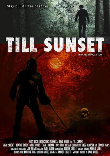 Till Sunset封面图
