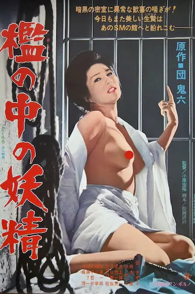 牢笼中的妖精封面图