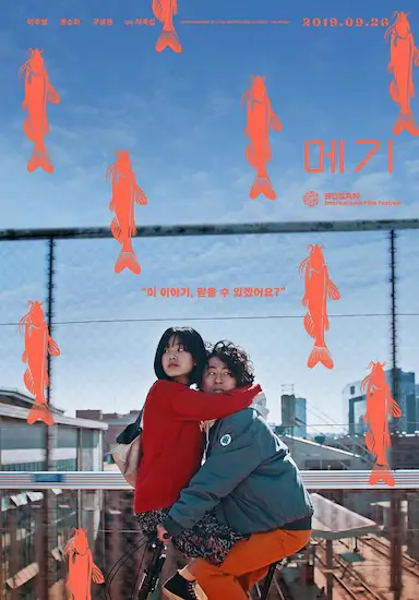 鲶鱼美琪封面图