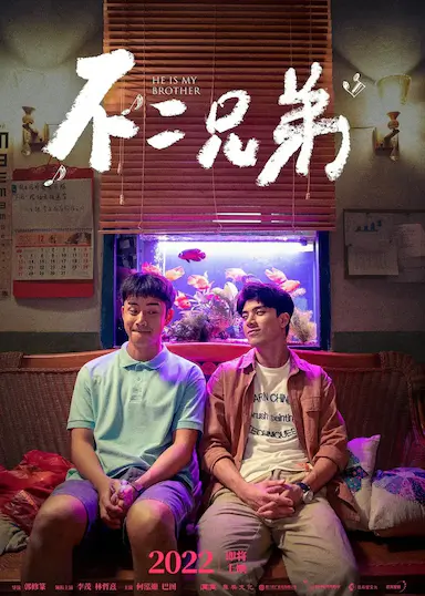 不二兄弟封面图