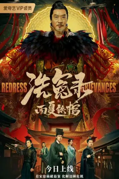 洗冤录之西夏铁棺封面图