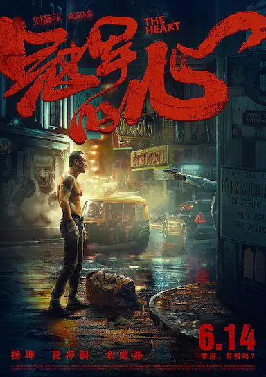 冠军的心封面图