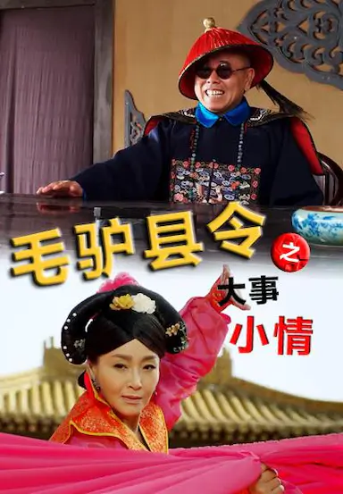 毛驴县令之大事小情封面图