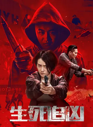生死追凶封面图
