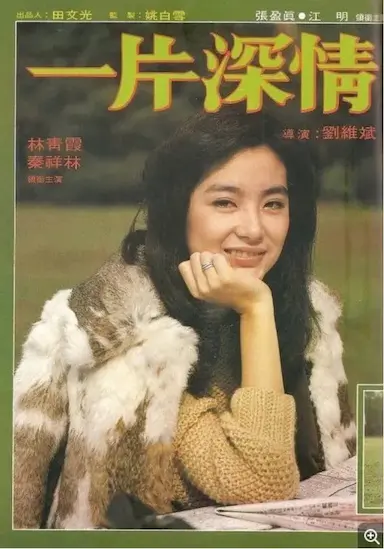 一片深情封面图