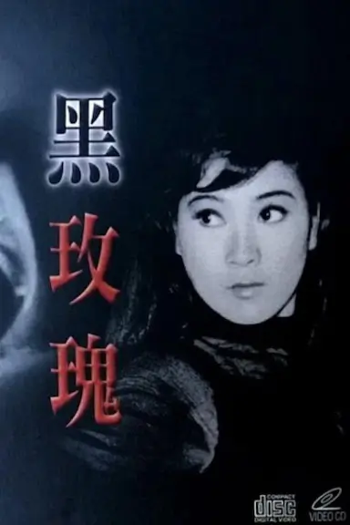 黑玫瑰封面图