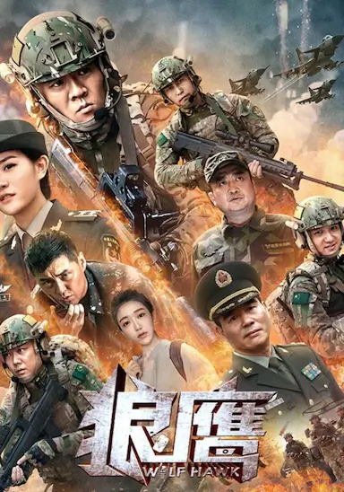 狼鹰封面图