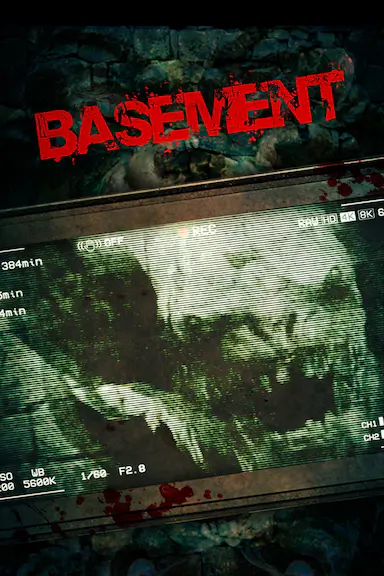 Basement封面图