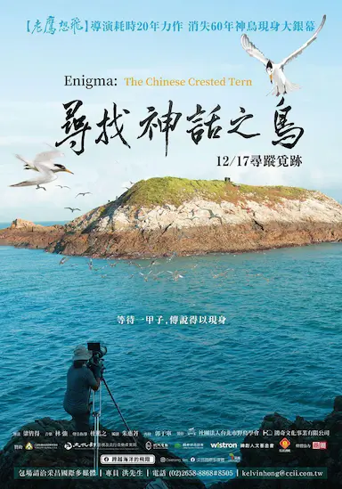 寻找神话之鸟