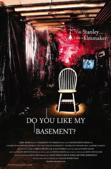do you like my basement封面图