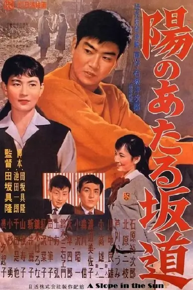 向阳的坡路封面图