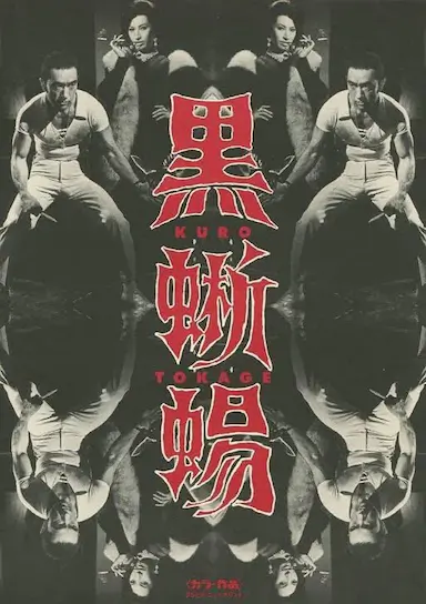 黑蜥蜴封面图