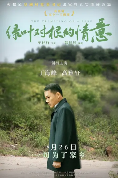 绿叶对根的情意封面图