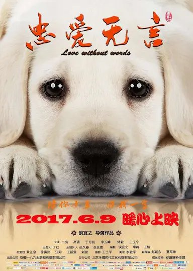 忠爱无言封面图