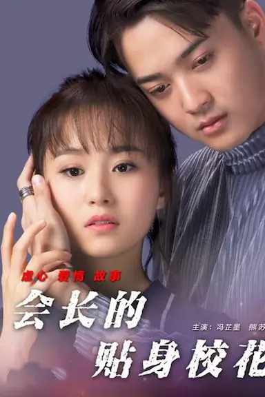 会长的贴身校花封面图