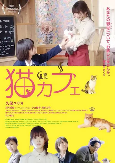 猫咪咖啡厅封面图