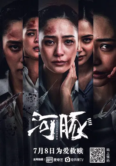 河豚封面图