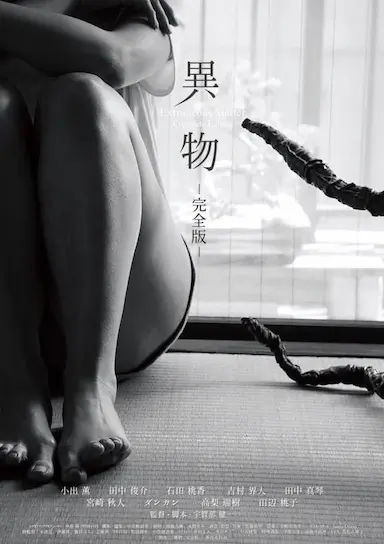 异物封面图