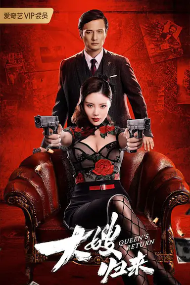 大嫂归来封面图
