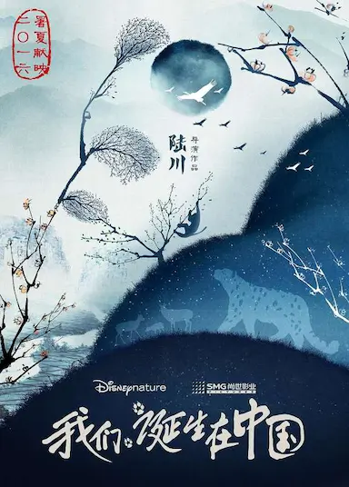 我们诞生在中国