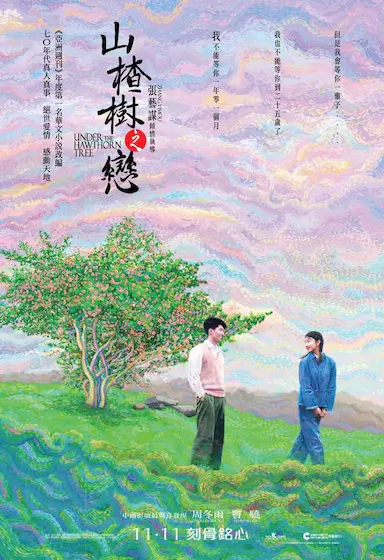 山楂树之恋封面图