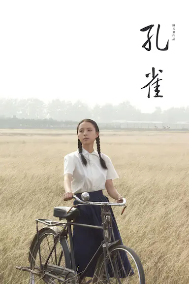 孔雀封面图