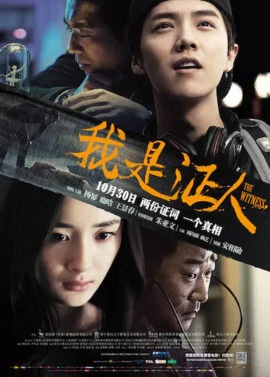 我是证人封面图