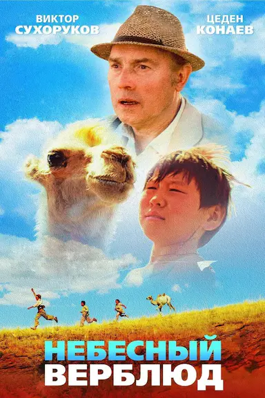 天上的骆驼封面图