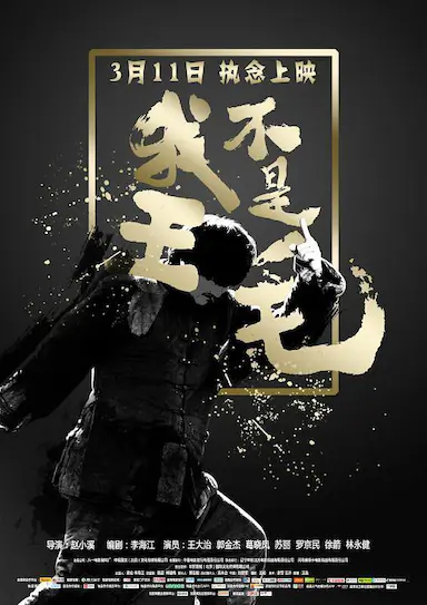 我不是王毛封面图