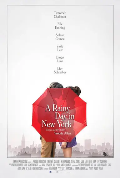 纽约的一个雨天封面图