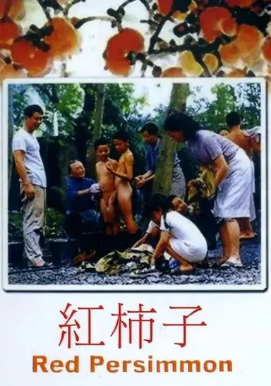 红柿子封面图