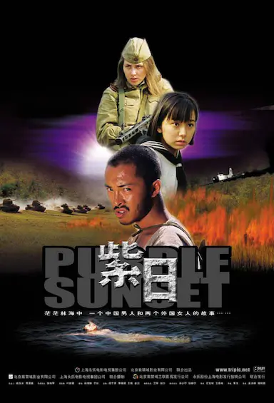 紫日封面图