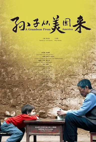 孙子从美国来封面图