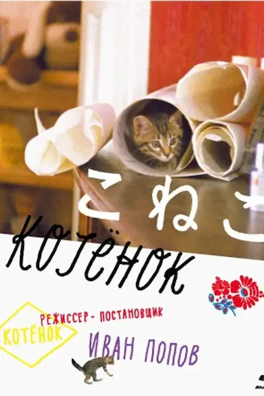 小猫虎子封面图