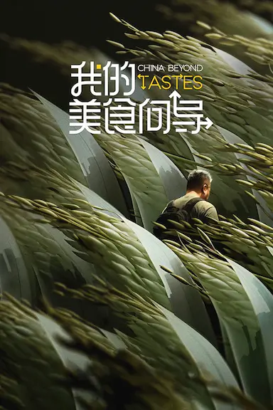 我的美食向导封面图
