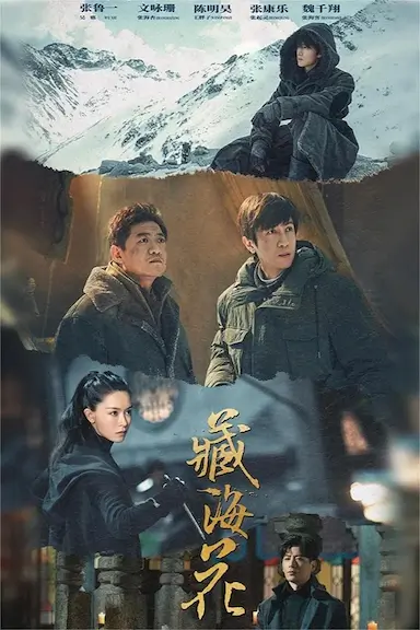 藏海花封面图