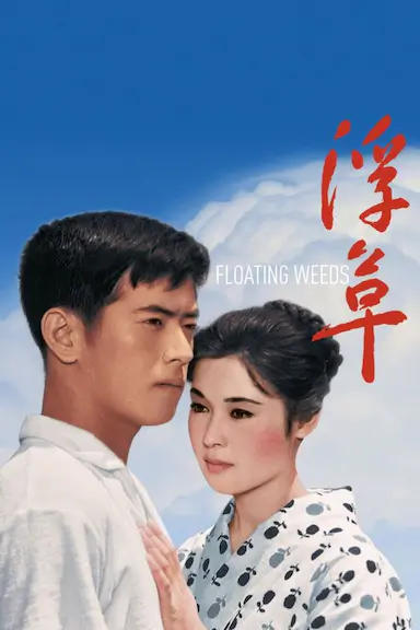 浮草封面图