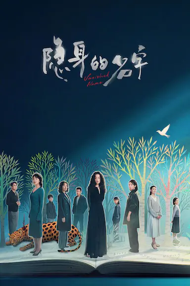 隐身的名字封面图