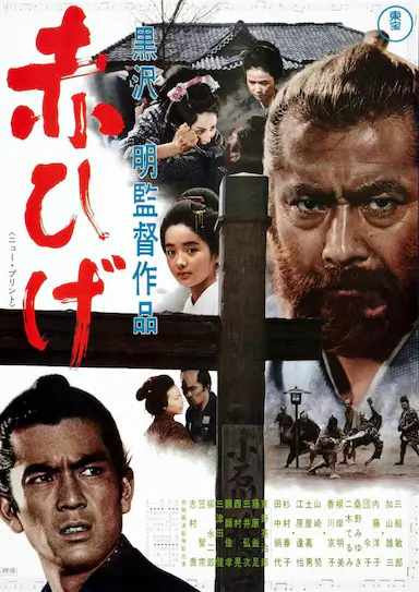 红胡子封面图