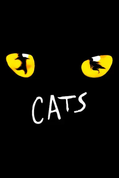 猫封面图