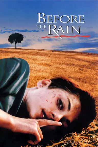 暴雨将至封面图