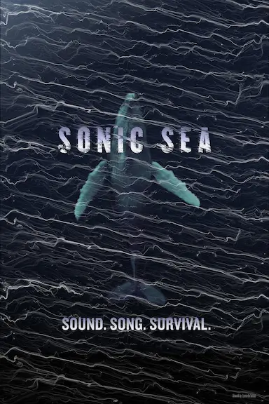 噪音海洋封面图